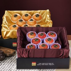 [행복한농부] (1+1)사과배 추석 과일선물세트/사과3kg 배5kg, (고급형)사과3kg(8~10과)+배5kg(7~8과)