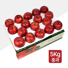 [명품농원] 당도선별 문경사과 선물세트 홍로 햇사과 5kg, 1박스, 03. 명품농원 중과 5kg(17~19과)-선물용