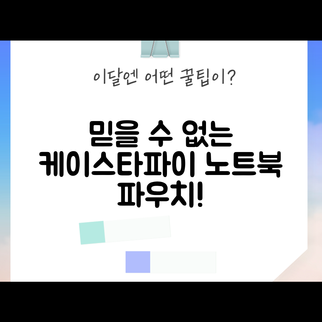 믿을 수 없는 케이스티파이 노트북 파우치 후기