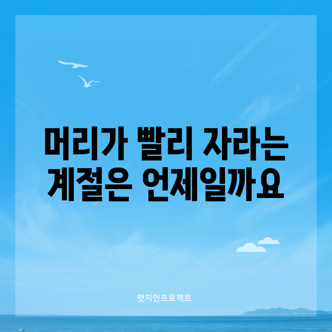 머리가 빨리 자라는 계절은 언제일까요?