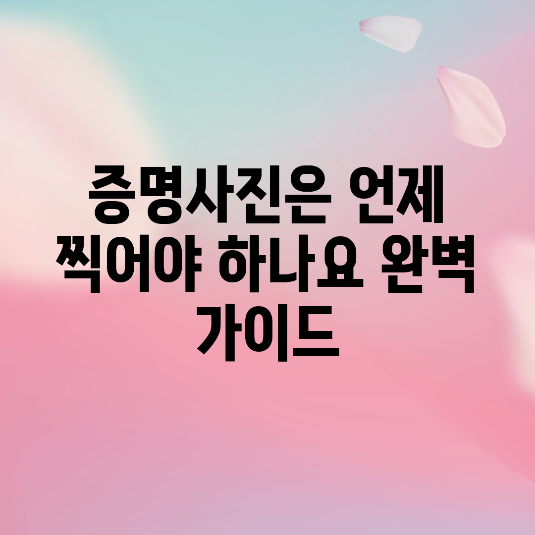 증명사진은 언제 찍어야 하나요? 완벽 가이드