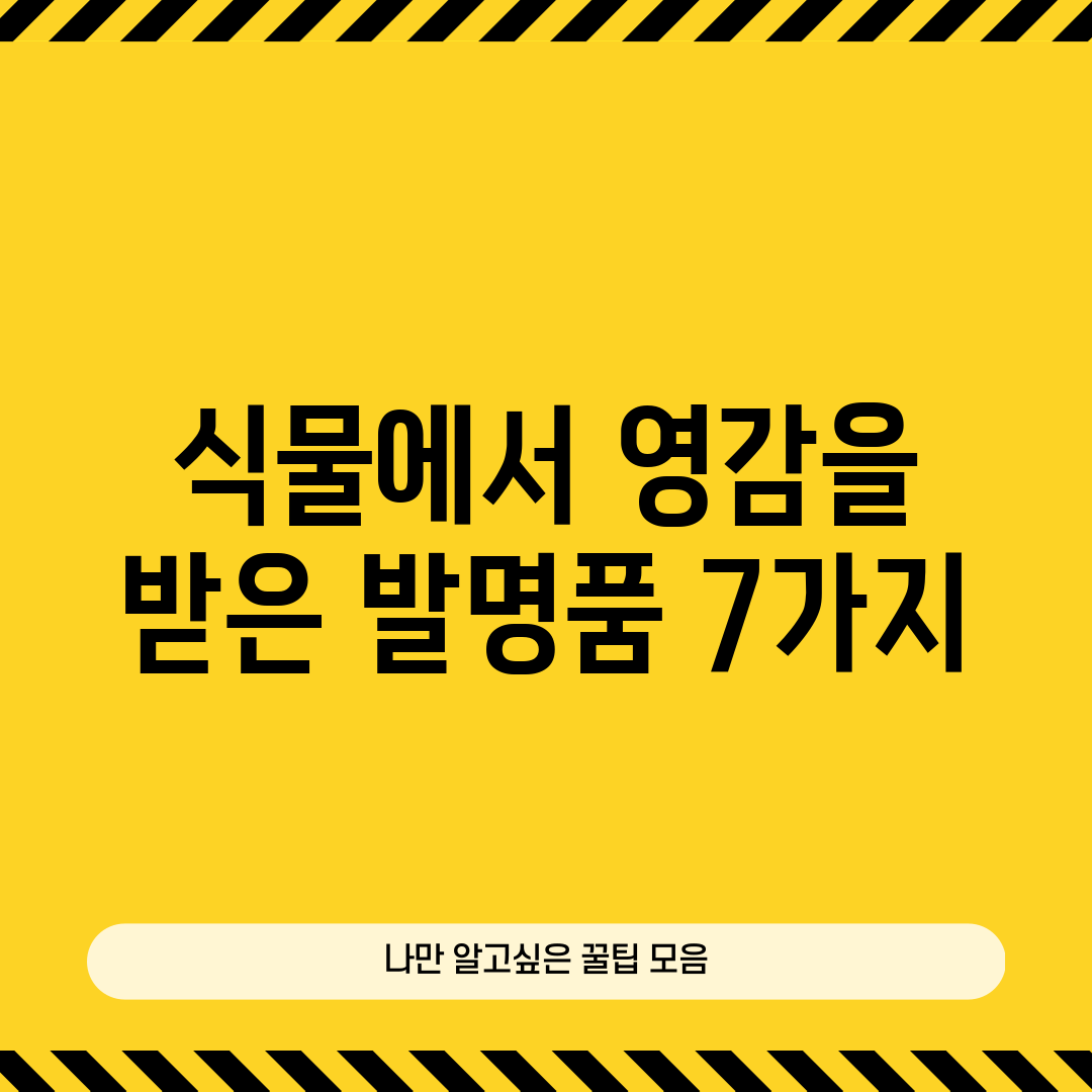 식물에서 영감을 받은 발명품 7가지