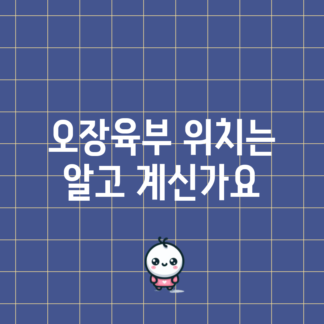 오장육부 위치는 알고 계신가요?