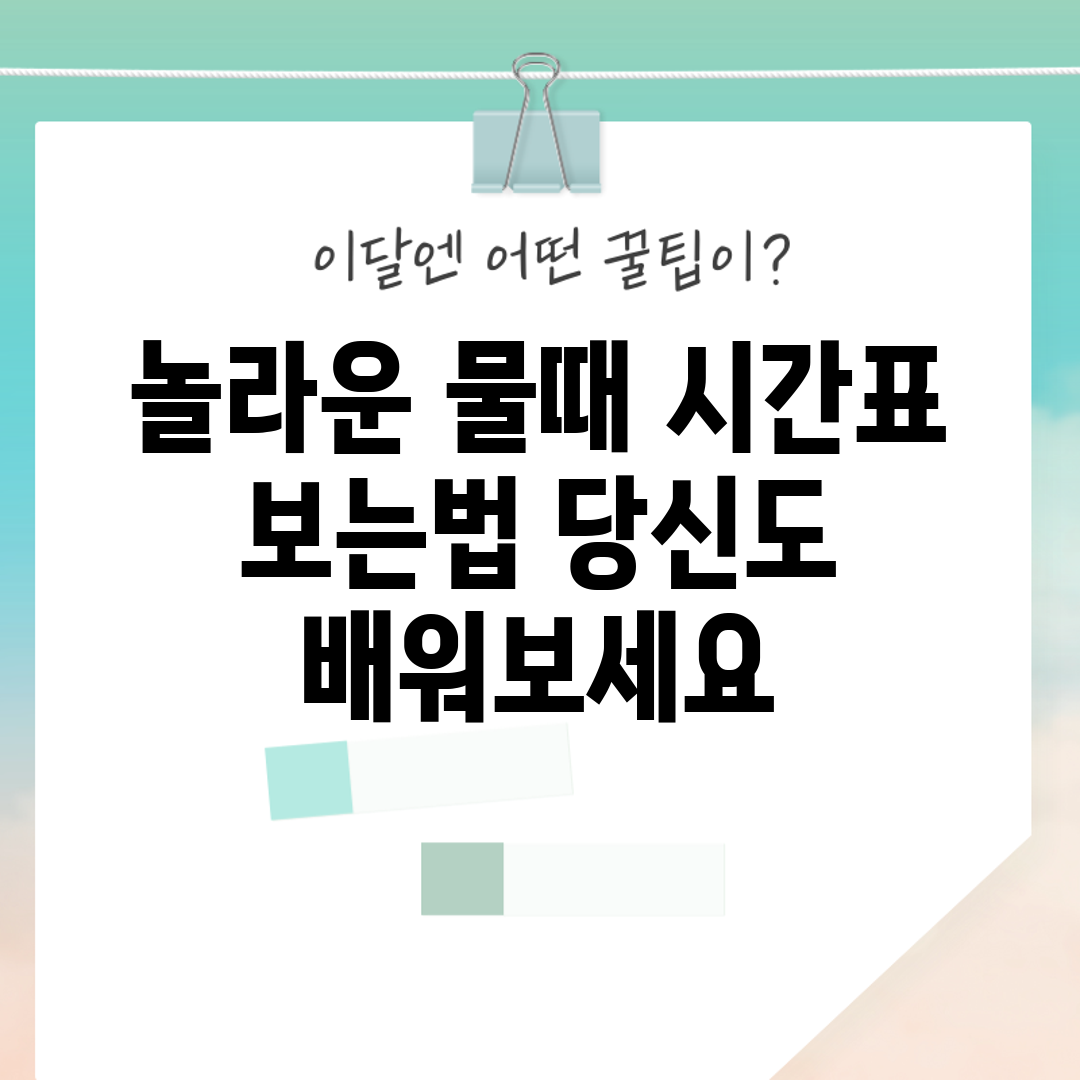 놀라운 물때 시간표 보는법, 당신도 배워보세요!