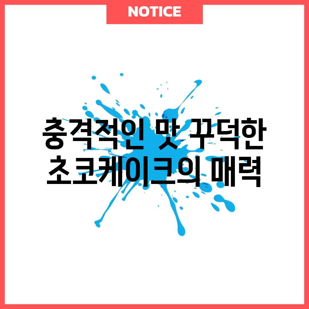 충격적인 맛! 꾸덕한 초코케이크의 매력