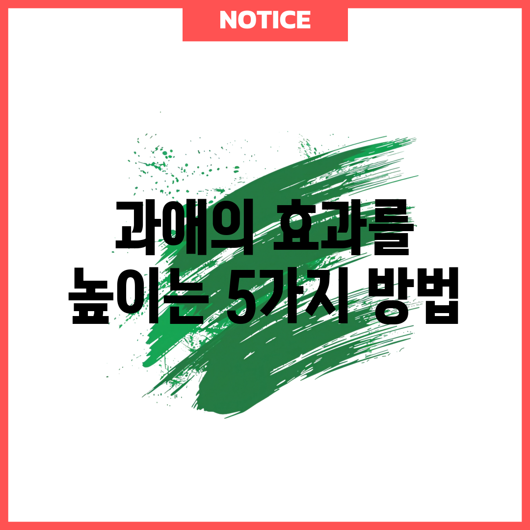 과애의 효과를 높이는 5가지 방법