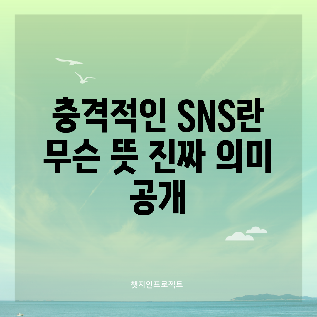 충격적인 SNS란 무슨 뜻? 진짜 의미 공개!