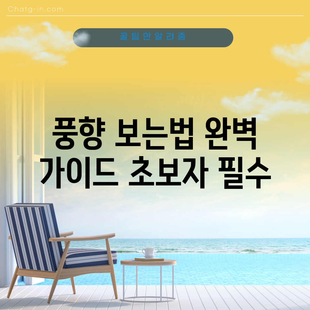 풍향 보는법 완벽 가이드: 초보자 필수!