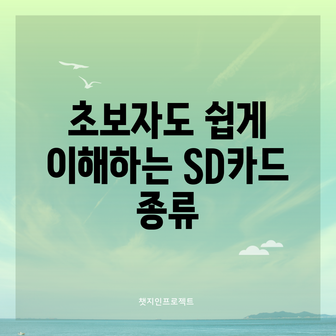 초보자도 쉽게 이해하는 SD카드 종류