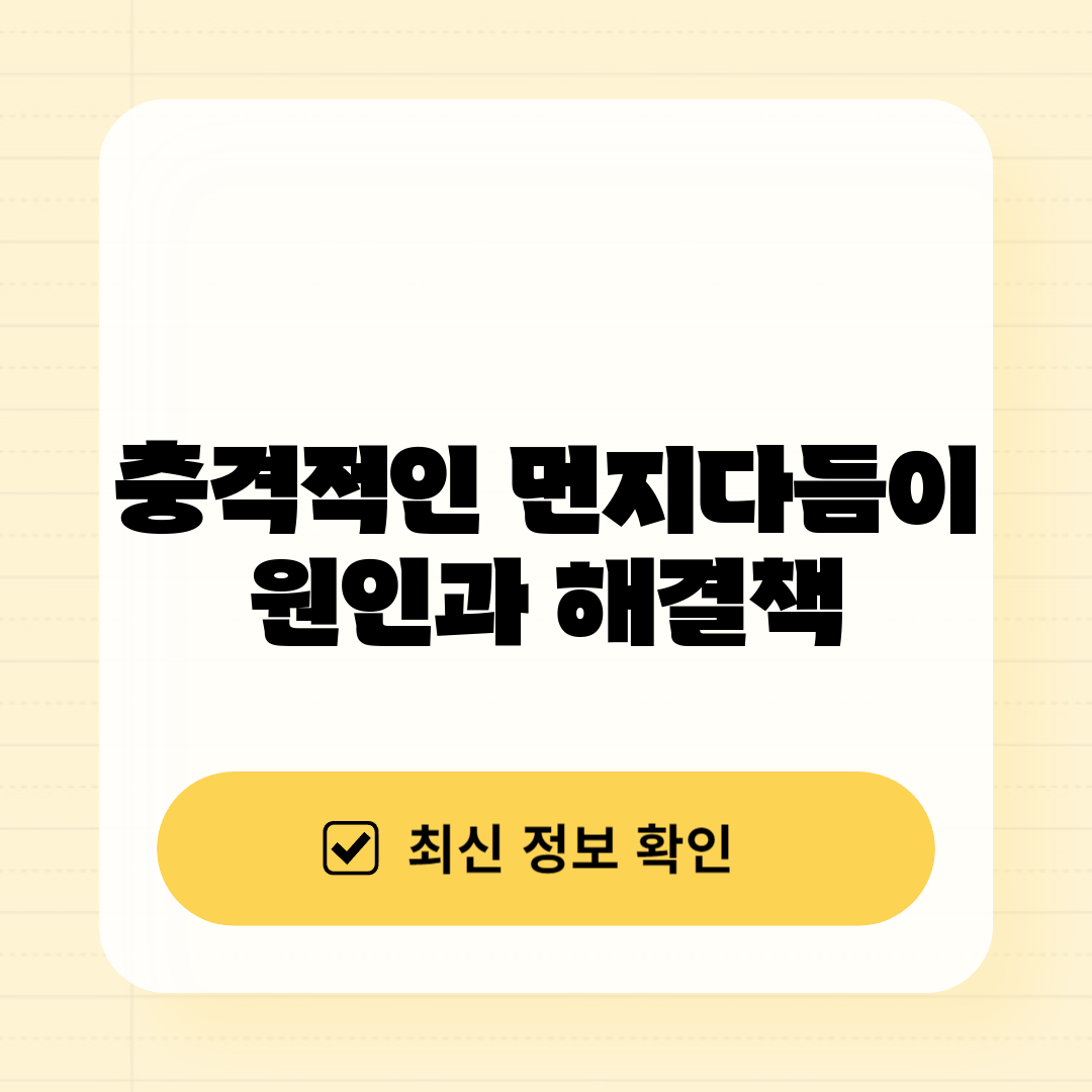 충격적인 먼지다듬이 원인과 해결책!