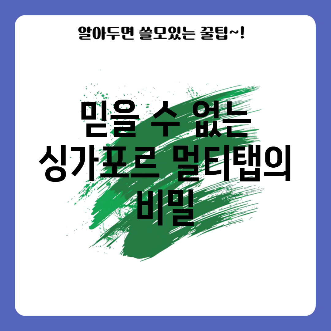 믿을 수 없는 싱가포르 멀티탭의 비밀