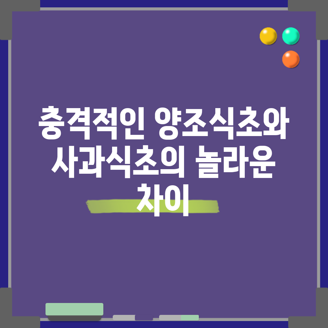 충격적인 양조식초와 사과식초의 놀라운 차이!