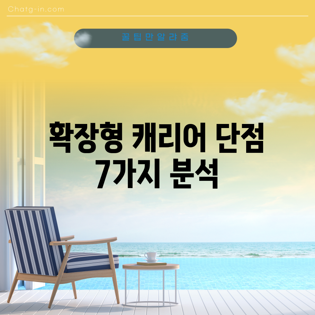 확장형 캐리어 단점 7가지 분석
