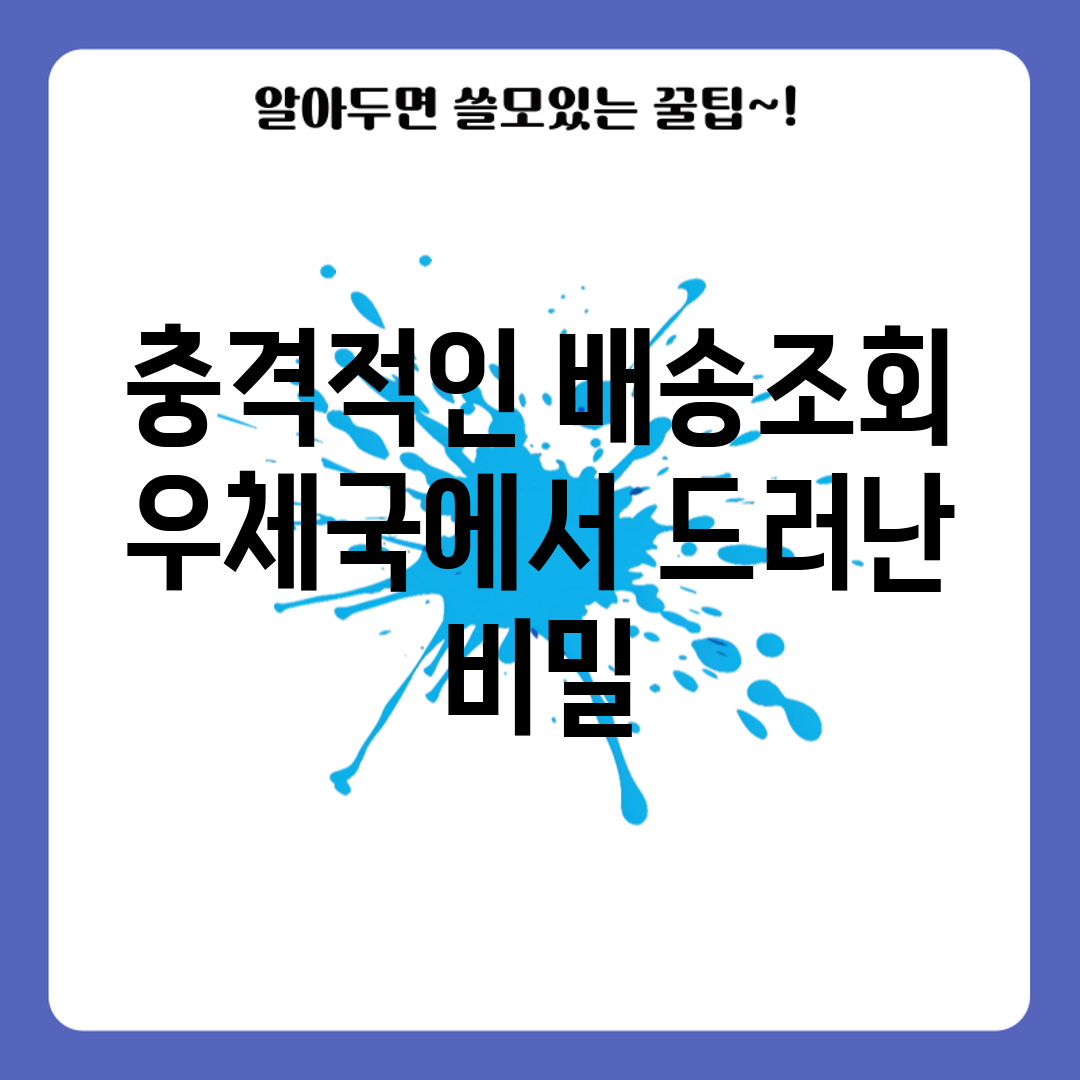 충격적인 배송조회, 우체국에서 드러난 비밀!