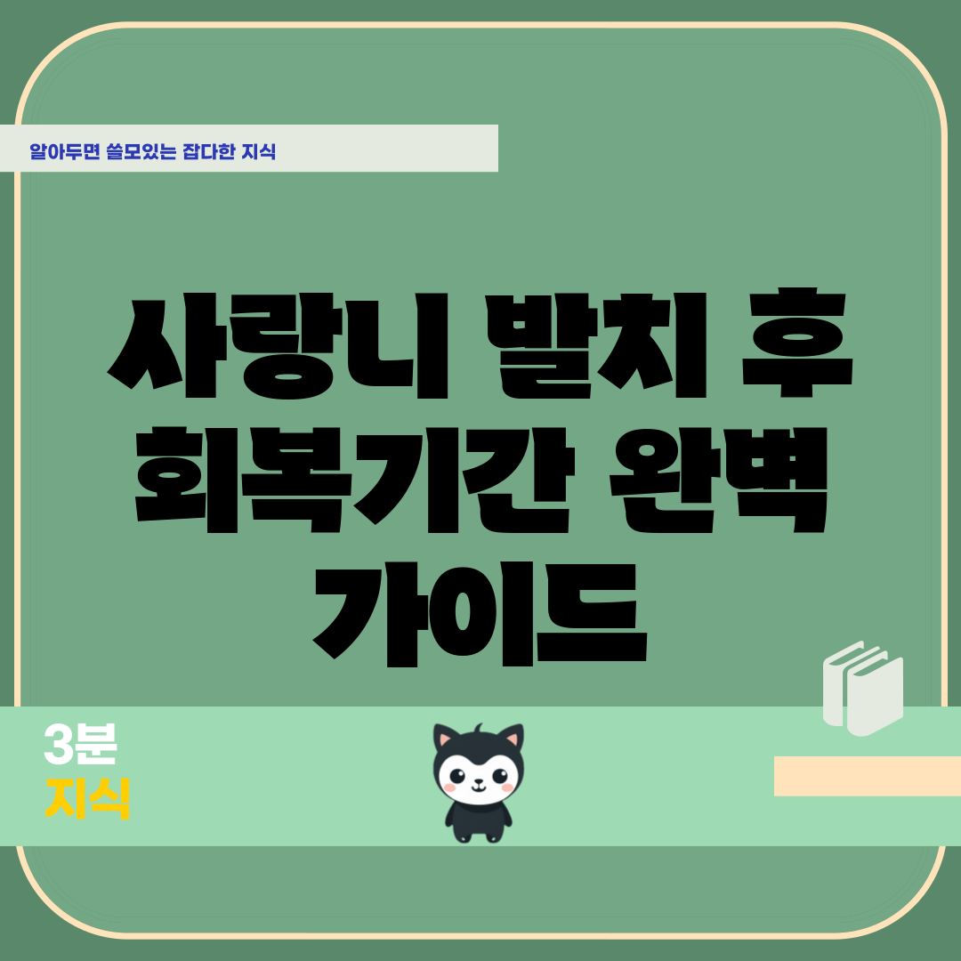 사랑니 발치 후 회복기간 완벽 가이드