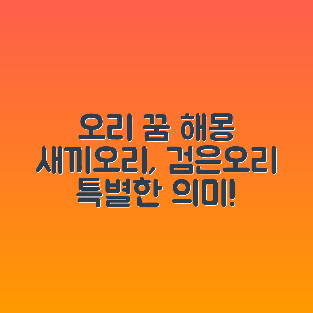 오리꿈 새끼 오리 꿈 검은오리 꿈 오리 꿈해몽 모음 입니다