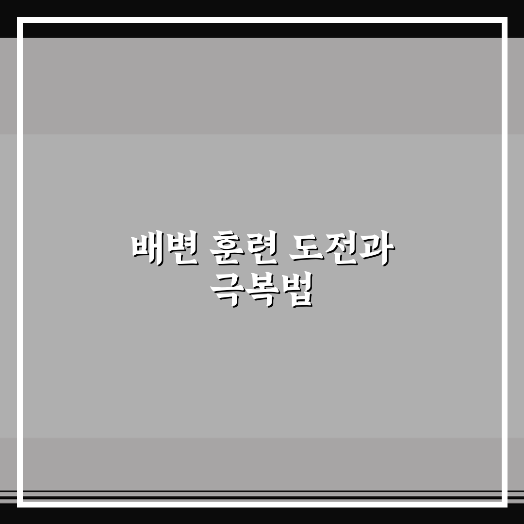 강아지 배변 훈련 성공하기 단계별 가이드 꿀팁과 실내 배변 교육 리얼후기